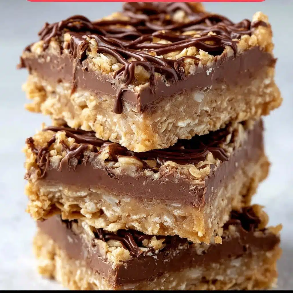 No-Bake Chocolate Oatmeal Bars Recipe - Recipe Image