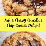 The Best Soft & Chewy Chocolate Chip Cookies Recipe