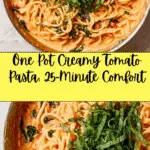 Easy One Pot Creamy Tomato Pasta Recipe