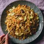 Chicken Yakisoba Noodles Recipe
