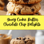 Cookie Butter Chocolate Chip Cookies Recipe