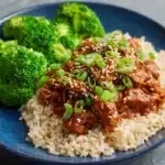 Slow Cooker Honey Garlic Chicken Recipe