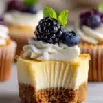 Mini Cheesecakes Recipe