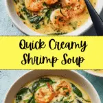 Creamy Shrimp Soup Recipe