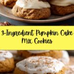 Pumpkin Cake Mix Cookies Recipe