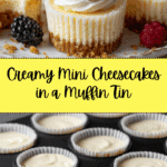 Mini Cheesecakes Recipe