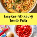 Easy One Pot Creamy Tomato Pasta Recipe
