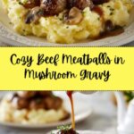 Beef Meatballs in Mushroom Gravy Recipe