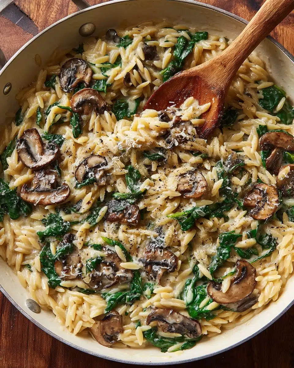 Creamy Garlic Mushroom Orzo Recipe