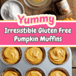 Gluten Free Pumpkin Muffins Recipe
