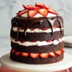 Vegan Chocolate Layer Cake with Mousse Recipe