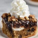 Chocolate Chip Picnic Spice Cake Recipe