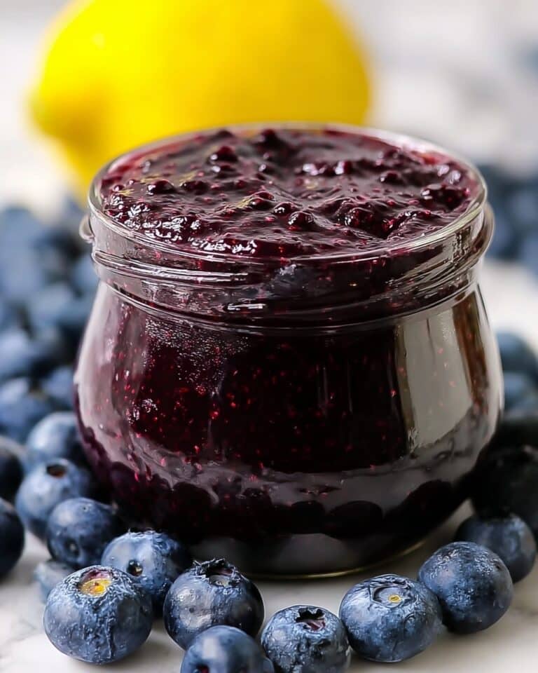 Fresh Blueberry Puree Recipe