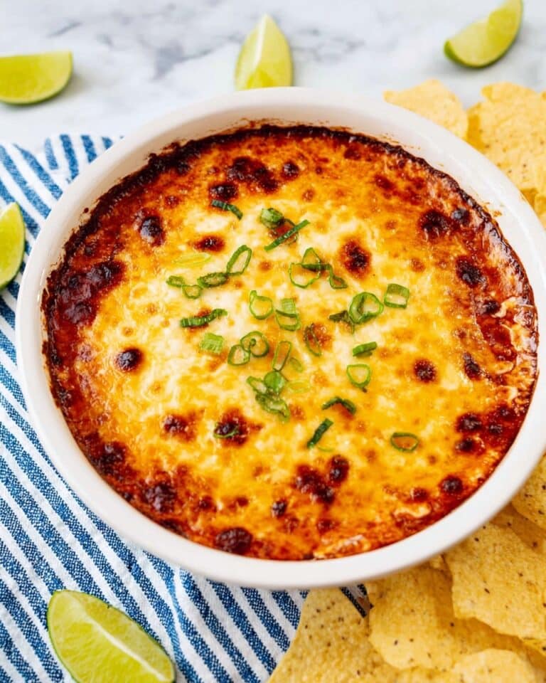 Cheesy Enchilada Dip Recipe