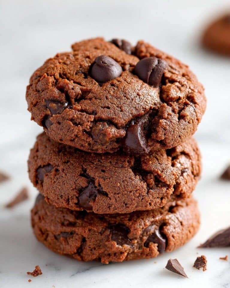 Chocolate Chocolate Chip Peanut Butter Cookies Recipe